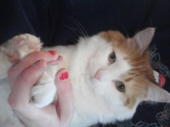 JenaFluff profile photo