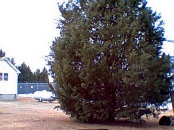 100frankie profile photo