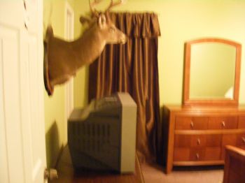 Biloxi12 profile photo