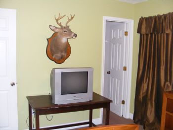 Biloxi12 profile photo