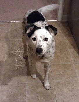 linny2009 profile photo