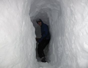 bquiggle profile photo