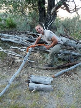 bquiggle profile photo