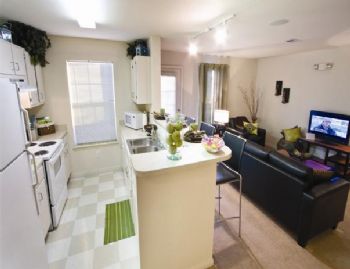 disccot01 profile photo