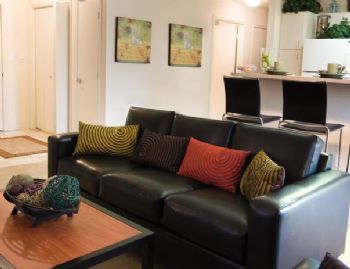 disccot01 profile photo