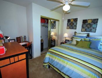 disccot01 profile photo