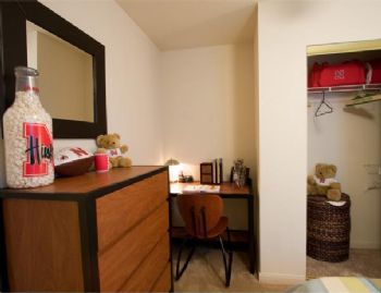 disccot01 profile photo