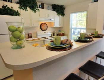 disccot01 profile photo