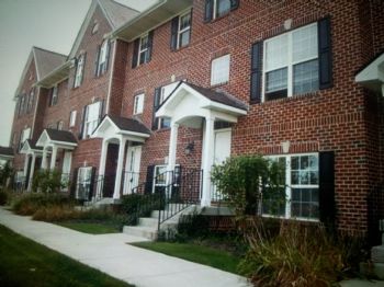 po1015 profile photo