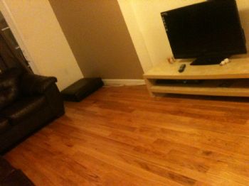 lenguyentri profile photo