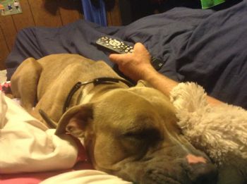 Rebbekah19 profile photo