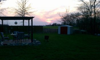 ronroy profile photo