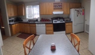 New Roommate profile photo