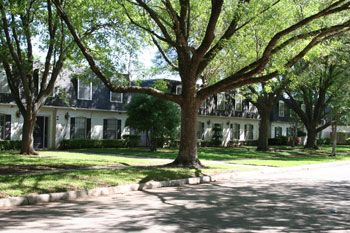 rhavird87 profile photo