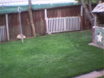 pabst4950 profile photo