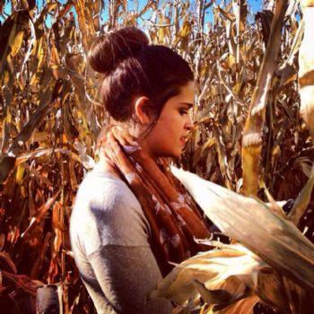 lbrooks3 profile photo