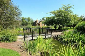 warmcozy profile photo