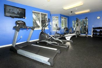 warmcozy profile photo