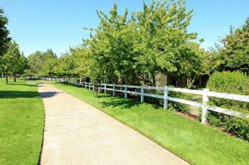 warmcozy profile photo