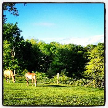 jennygordon8 profile photo