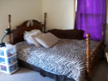 Acarrot profile photo