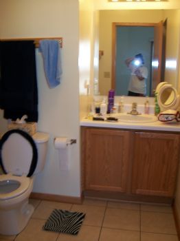 Acarrot profile photo