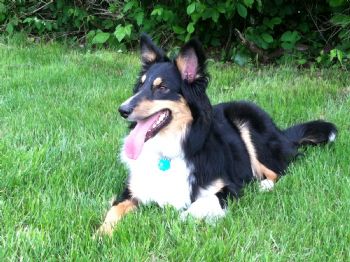 Twilu3 profile photo