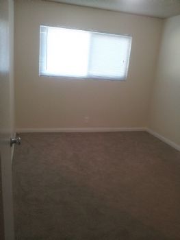 lstabe profile photo