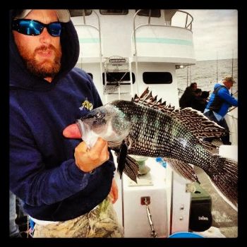 captain beck profile photo