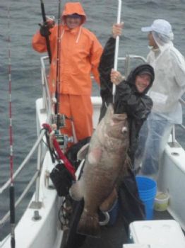 captain beck profile photo