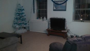 taramay profile photo