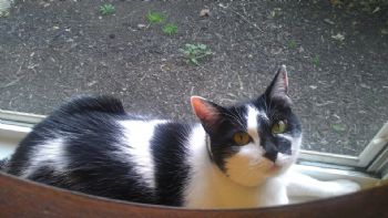 zeitgeist profile photo