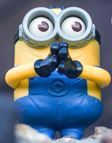 hi_chen profile photo