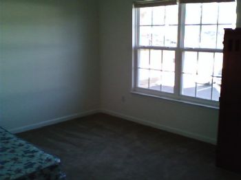 normalSWF profile photo