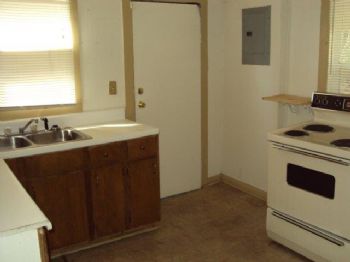 Robzilla profile photo