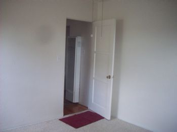 nightowle profile photo