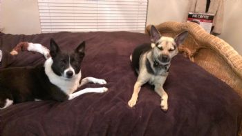 Ana2014 profile photo