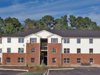 meganellice profile photo