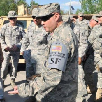 staindman profile photo