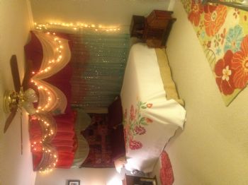 amelia440 profile photo