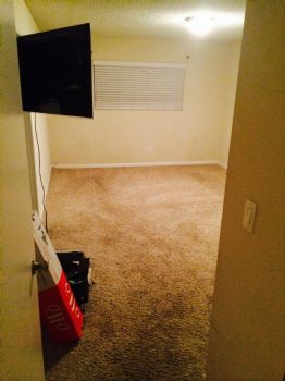 RobFlo profile photo