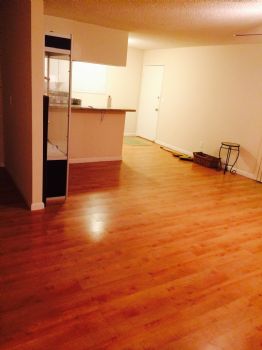 RobFlo profile photo