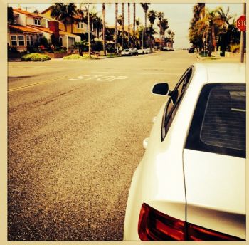 RobFlo profile photo