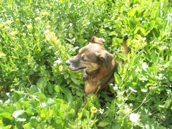 kendalkmj profile photo