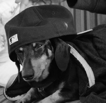 Andreamer profile photo