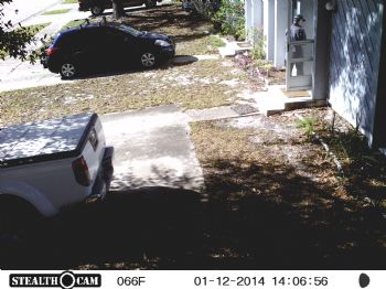 osb32816 profile photo