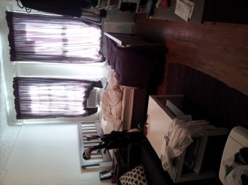 dburruto profile photo