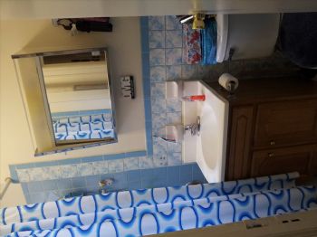 dburruto profile photo