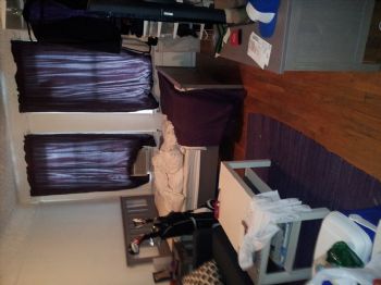 dburruto profile photo