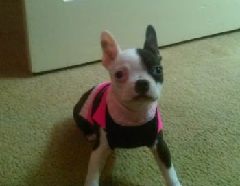 jrgann profile photo